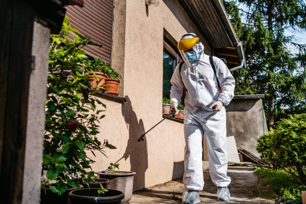 Flea Control Services in Paloma Creek South, TX