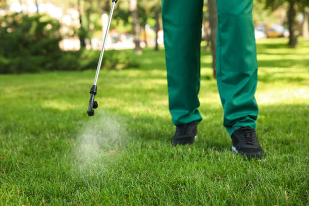 Insect Control in Paloma Creek South, TX
