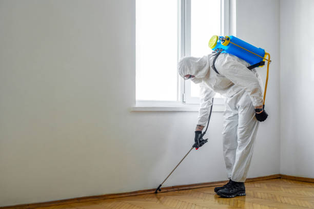 Professional Pest Control in Paloma Creek South, TX